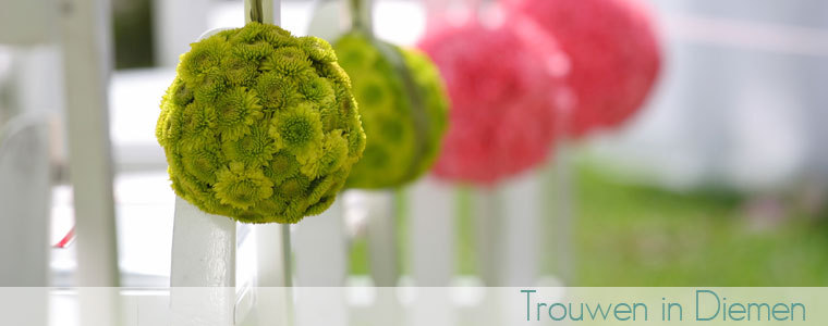 trouwen_in_diemen